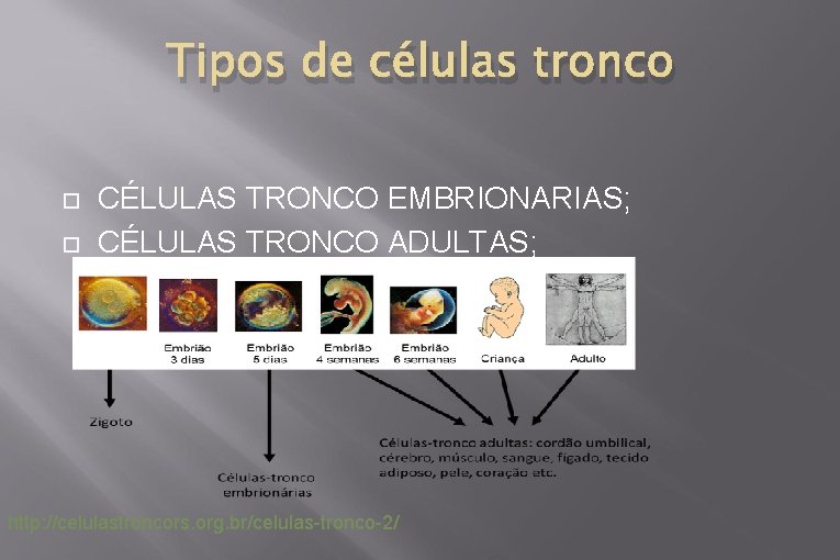 Tipos de células tronco CÉLULAS TRONCO EMBRIONARIAS; CÉLULAS TRONCO ADULTAS; http: //celulastroncors. org. br/celulas-tronco-2/