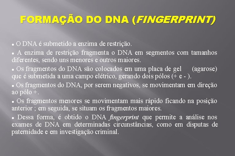 FORMAÇÃO DO DNA (FINGERPRINT) O DNA é submetido a enzima de restrição. A enzima