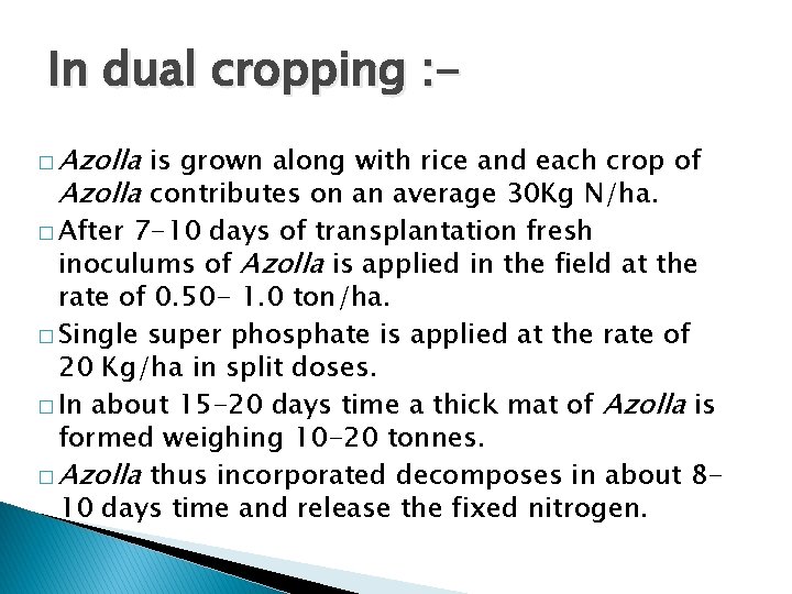 In dual cropping : � Azolla is grown along with rice and each crop