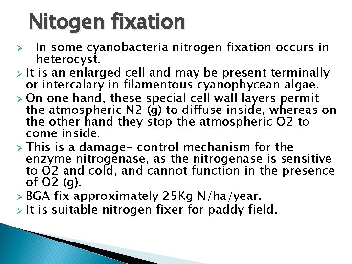 Nitogen fixation In some cyanobacteria nitrogen fixation occurs in heterocyst. Ø It is an