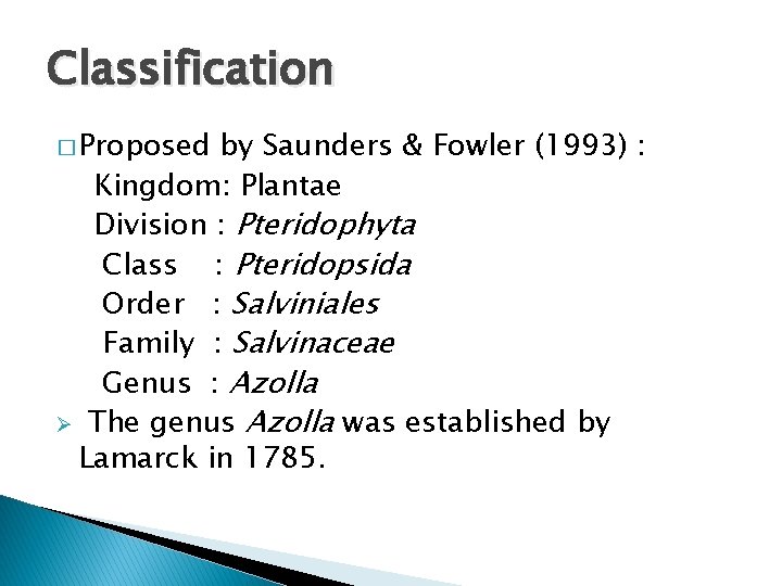 Classification � Proposed by Saunders & Fowler (1993) : Kingdom: Plantae Division : Pteridophyta