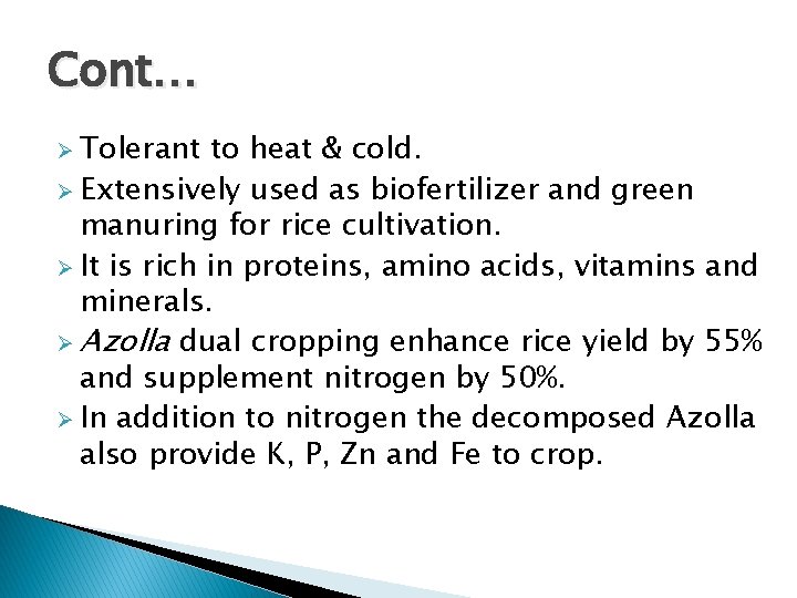 Cont… Ø Tolerant to heat & cold. Ø Extensively used as biofertilizer and green
