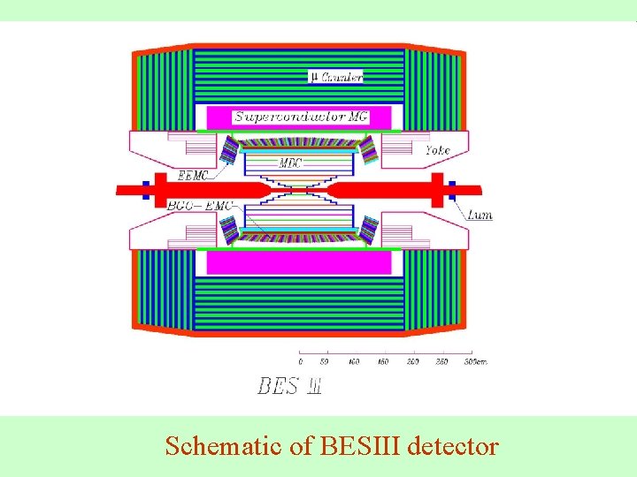 Schematic of BESIII detector 