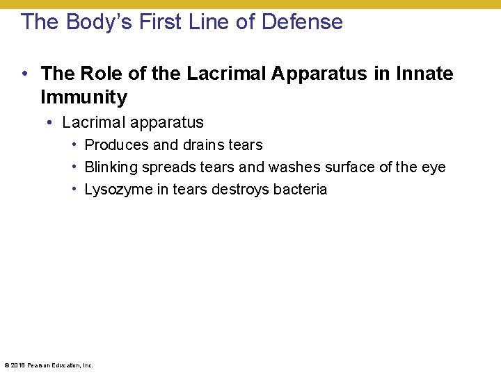 The Body’s First Line of Defense • The Role of the Lacrimal Apparatus in