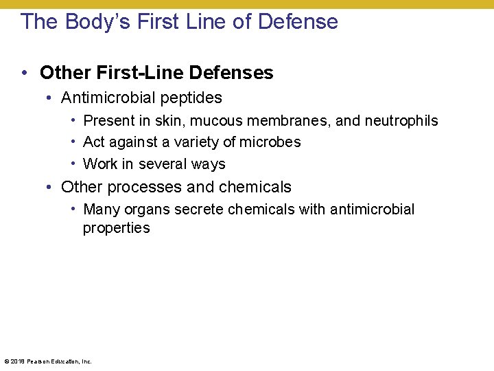 The Body’s First Line of Defense • Other First-Line Defenses • Antimicrobial peptides •