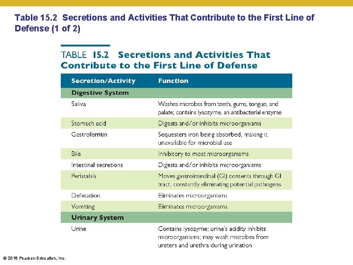 Table 15. 2 Secretions and Activities That Contribute to the First Line of Defense
