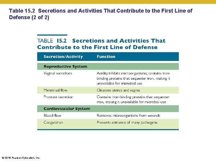 Table 15. 2 Secretions and Activities That Contribute to the First Line of Defense