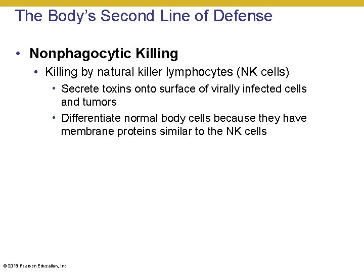 The Body’s Second Line of Defense • Nonphagocytic Killing • Killing by natural killer