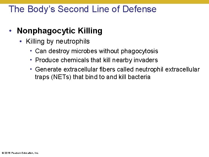 The Body’s Second Line of Defense • Nonphagocytic Killing • Killing by neutrophils •