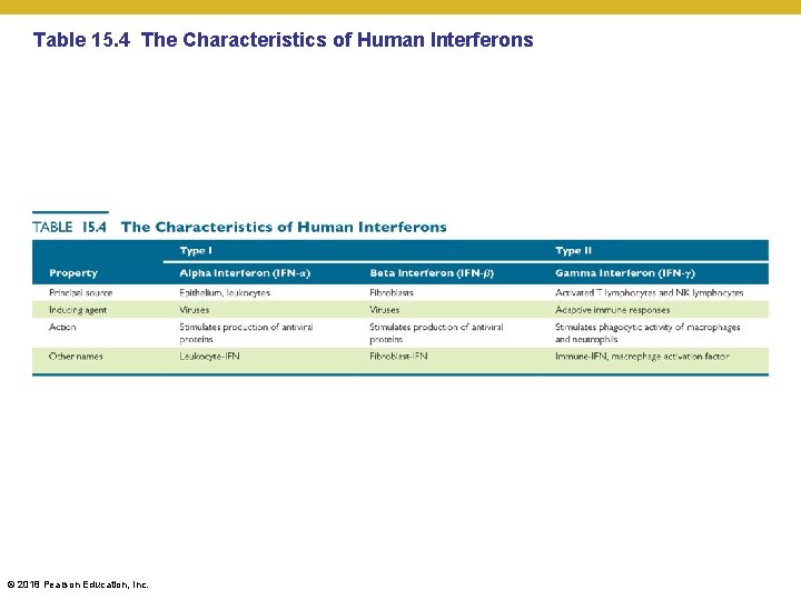 Table 15. 4 The Characteristics of Human Interferons © 2018 Pearson Education, Inc. 
