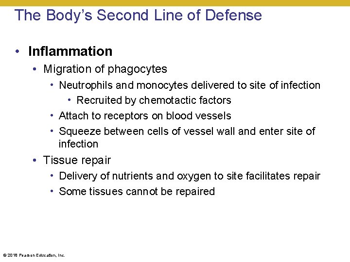 The Body’s Second Line of Defense • Inflammation • Migration of phagocytes • Neutrophils