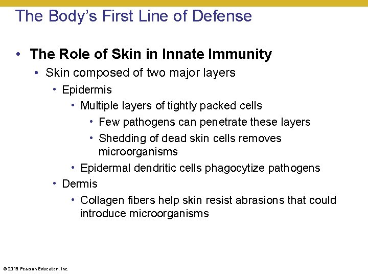 The Body’s First Line of Defense • The Role of Skin in Innate Immunity