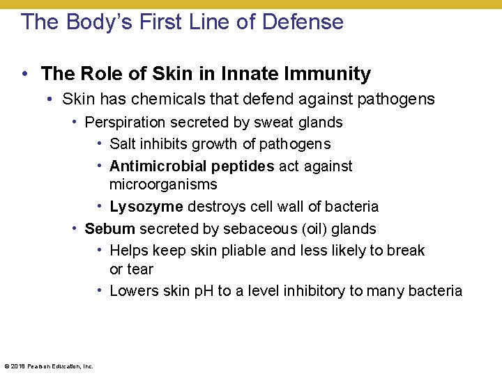 The Body’s First Line of Defense • The Role of Skin in Innate Immunity