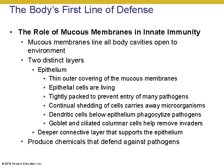 The Body’s First Line of Defense • The Role of Mucous Membranes in Innate