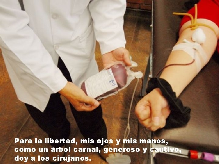 Para la libertad, mis ojos y mis manos, como un árbol carnal, generoso y