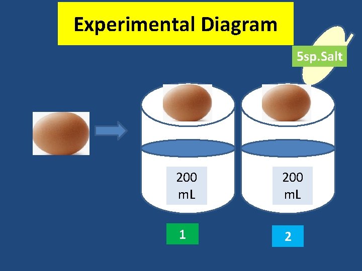 Experimental Diagram 5 sp. Salt 200 m. L 1 2 