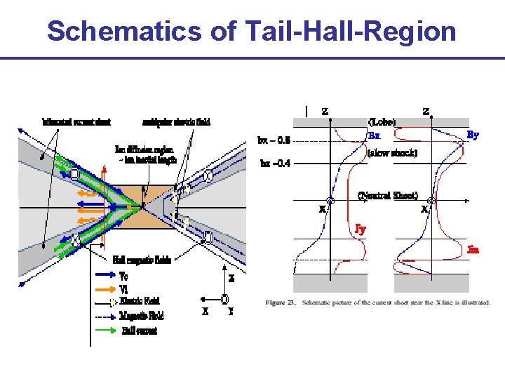 Schematics of Tail-Hall-Region 