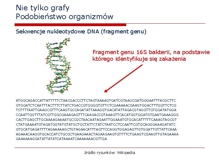 Nie tylko grafy Podobieństwo organizmów Sekwencje nukleotydowe DNA (fragment genu) Fragment genu 16 S