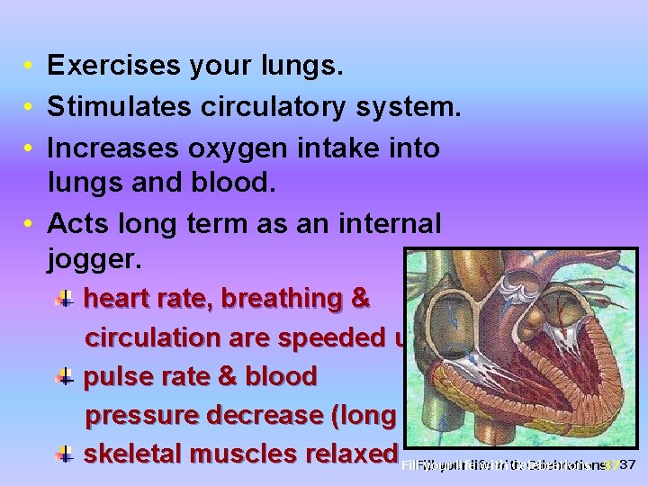  • Exercises your lungs. • Stimulates circulatory system. • Increases oxygen intake into