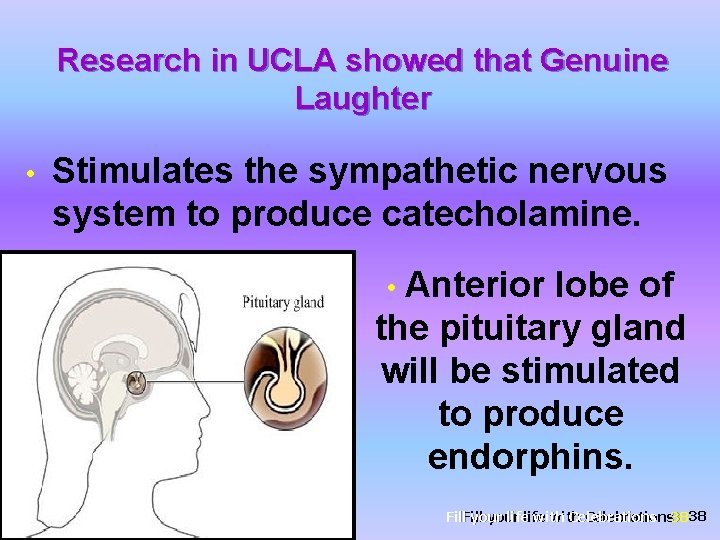 Research in UCLA showed that Genuine Laughter • Stimulates the sympathetic nervous system to