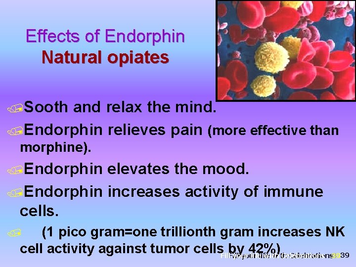 Effects of Endorphin Natural opiates /Sooth and relax the mind. /Endorphin relieves pain (more