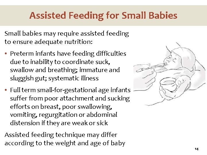 Assisted Feeding for Small Babies Small babies may require assisted feeding to ensure adequate