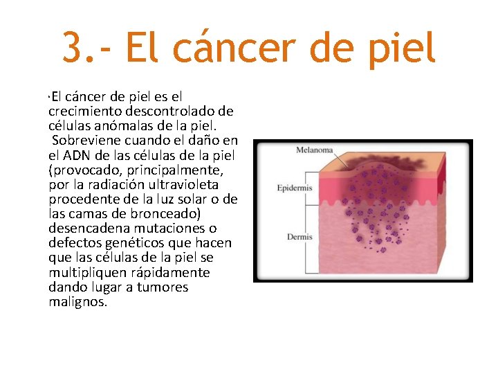 3. - El cáncer de piel ·El cáncer de piel es el crecimiento descontrolado