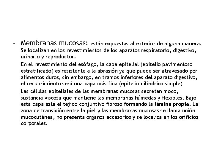 - Membranas mucosas: están expuestas al exterior de alguna manera. Se localizan en los