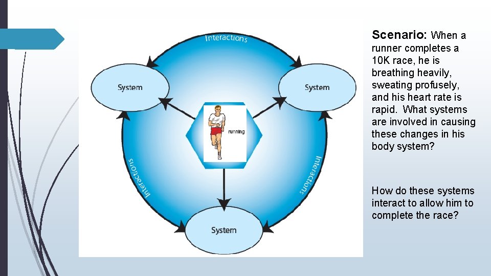Scenario: When a runner completes a 10 K race, he is breathing heavily, sweating