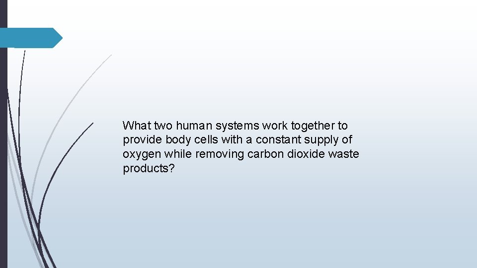 What two human systems work together to provide body cells with a constant supply