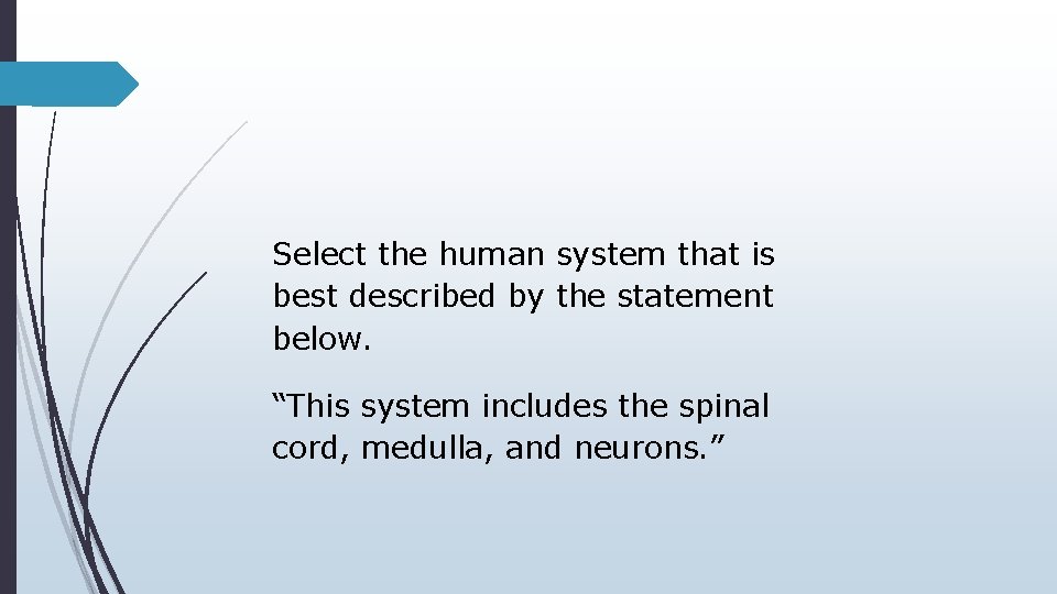Select the human system that is best described by the statement below. “This system