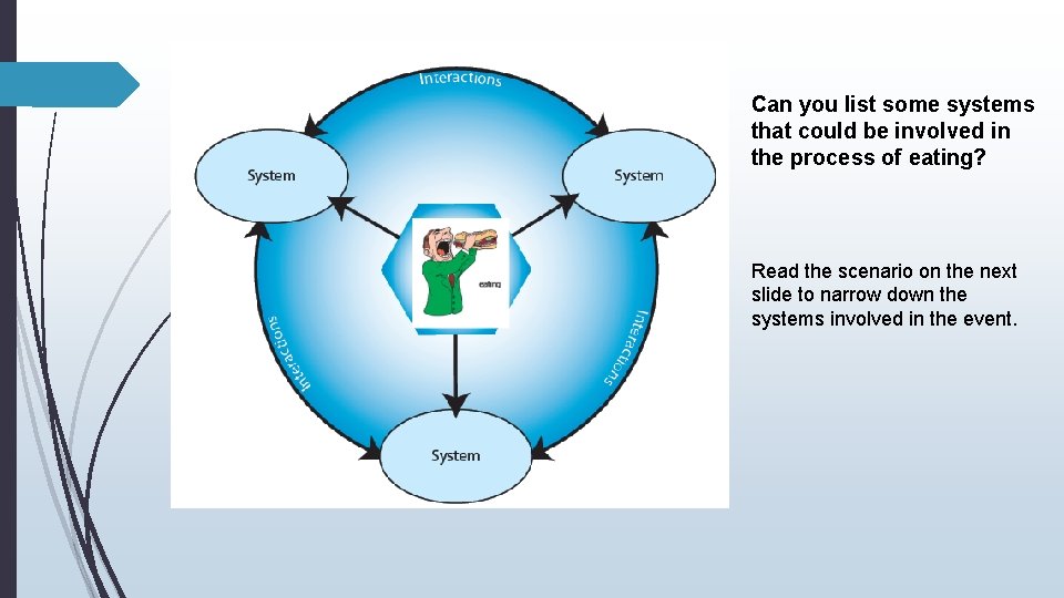 Can you list some systems that could be involved in the process of eating?