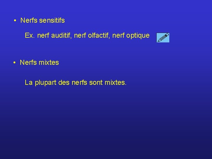  • Nerfs sensitifs Ex. nerf auditif, nerf olfactif, nerf optique • Nerfs mixtes