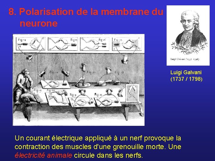 8. Polarisation de la membrane du neurone Luigi Galvani (1737 / 1798) Un courant