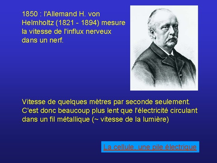 1850 : l'Allemand H. von Helmholtz (1821 - 1894) mesure la vitesse de l'influx