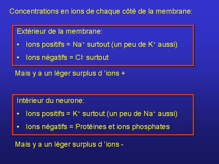 Concentrations en ions de chaque côté de la membrane: Extérieur de la membrane: •