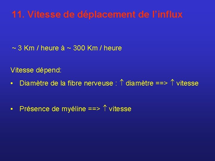 11. Vitesse de déplacement de l’influx ~ 3 Km / heure à ~ 300