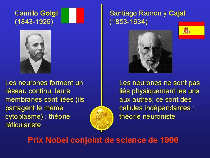 Camillo Golgi (1843 -1926) Les neurones forment un réseau continu; leurs membranes sont liées