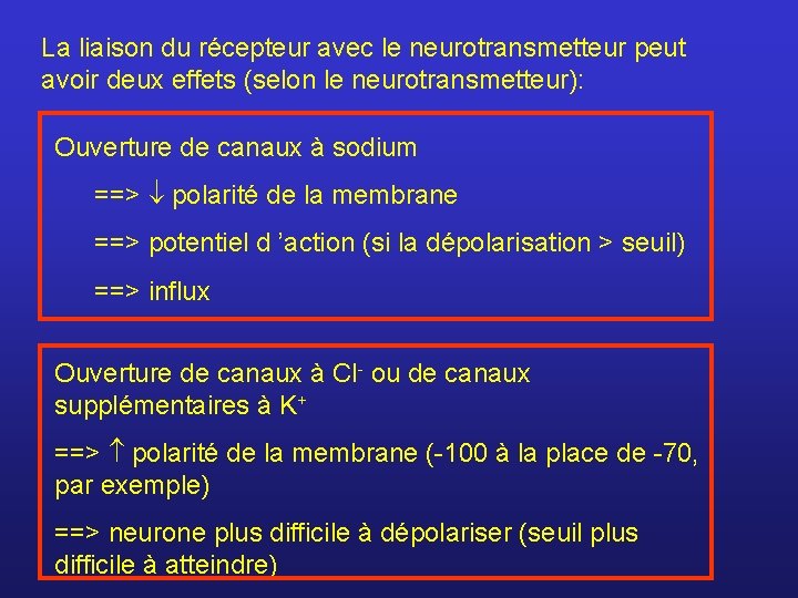 La liaison du récepteur avec le neurotransmetteur peut avoir deux effets (selon le neurotransmetteur):