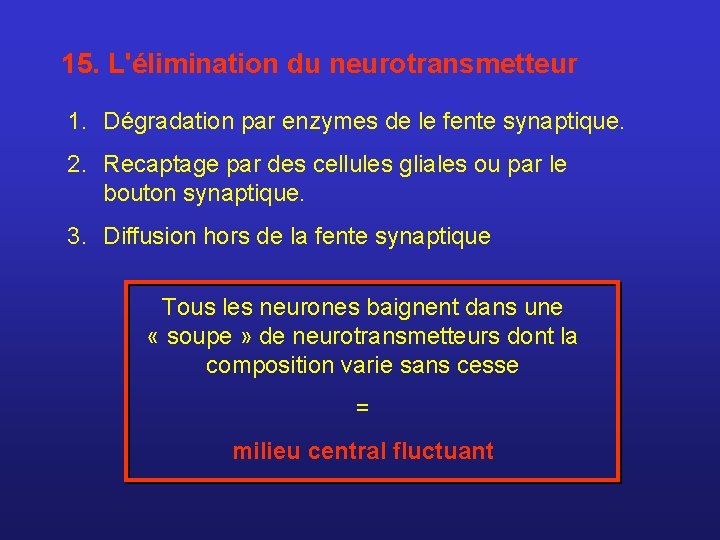 15. L'élimination du neurotransmetteur 1. Dégradation par enzymes de le fente synaptique. 2. Recaptage