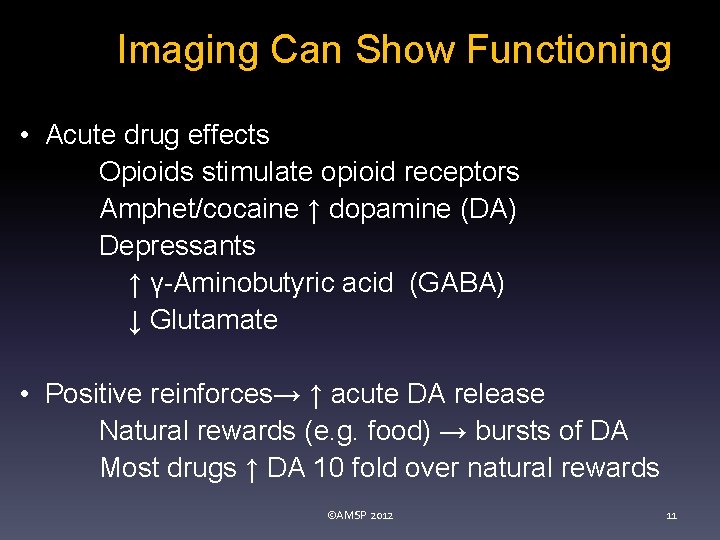Imaging Can Show Functioning • Acute drug effects Opioids stimulate opioid receptors Amphet/cocaine ↑