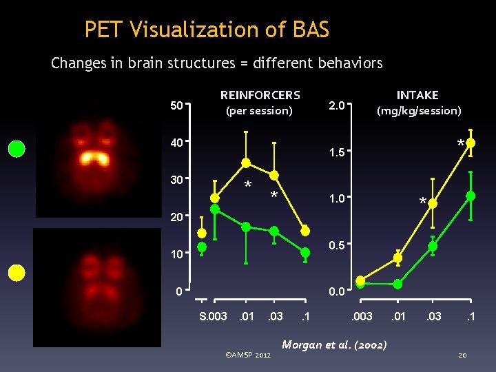 PET Visualization of BAS Changes in brain structures = different behaviors 50 REINFORCERS (per