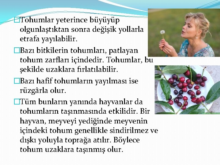 �Tohumlar yeterince büyüyüp olgunlaştıktan sonra değişik yollarla etrafa yayılabilir. �Bazı bitkilerin tohumları, patlayan tohum