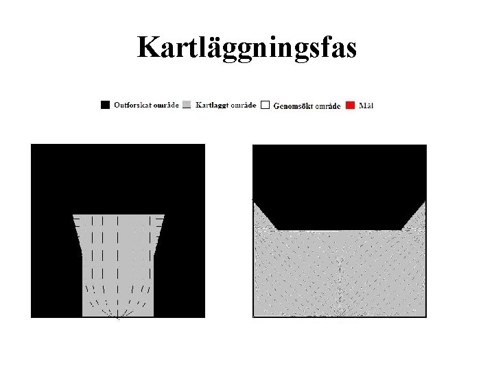 Kartläggningsfas 