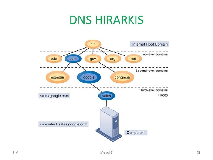 DNS HIRARKIS SIM Modul-7 25 