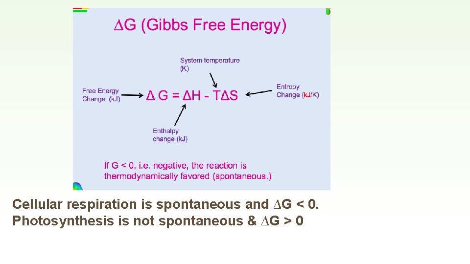 Cellular respiration is spontaneous and ∆G < 0. Photosynthesis is not spontaneous & ∆G