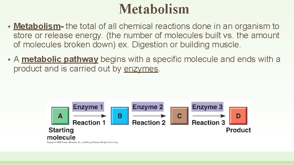 Metabolism • Metabolism- the total of all chemical reactions done in an organism to