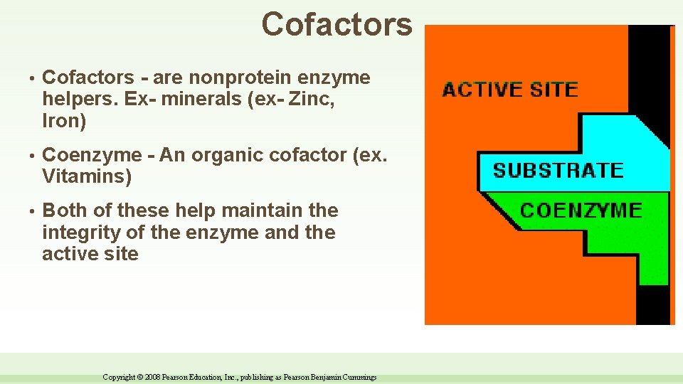 Cofactors • Cofactors - are nonprotein enzyme helpers. Ex- minerals (ex- Zinc, Iron) •