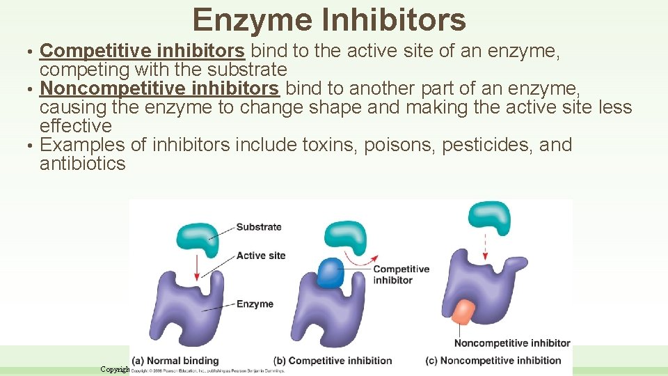 Enzyme Inhibitors Competitive inhibitors bind to the active site of an enzyme, competing with