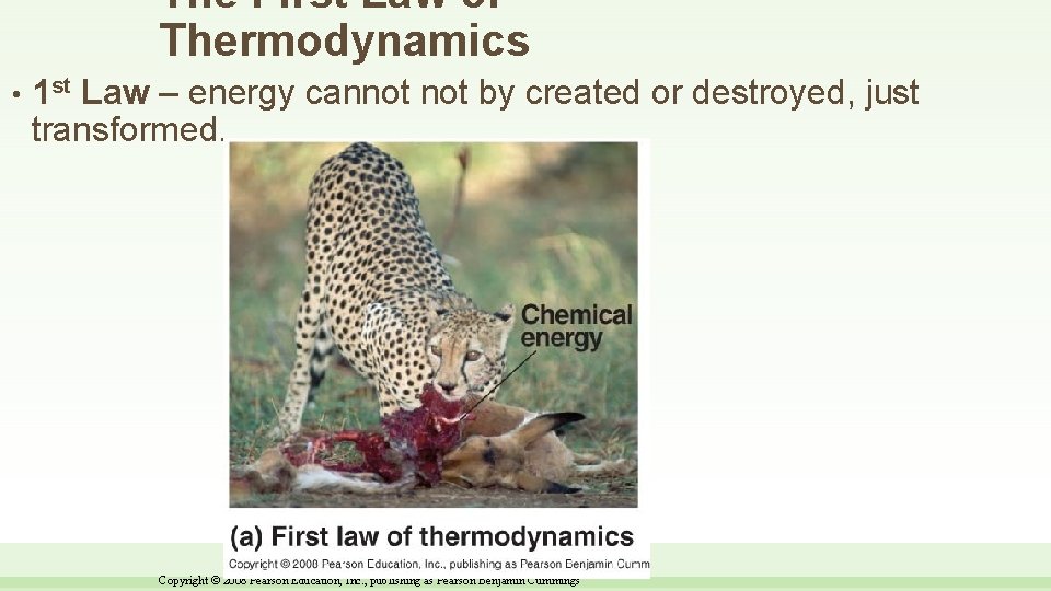 The First Law of Thermodynamics • 1 st Law – energy cannot by created